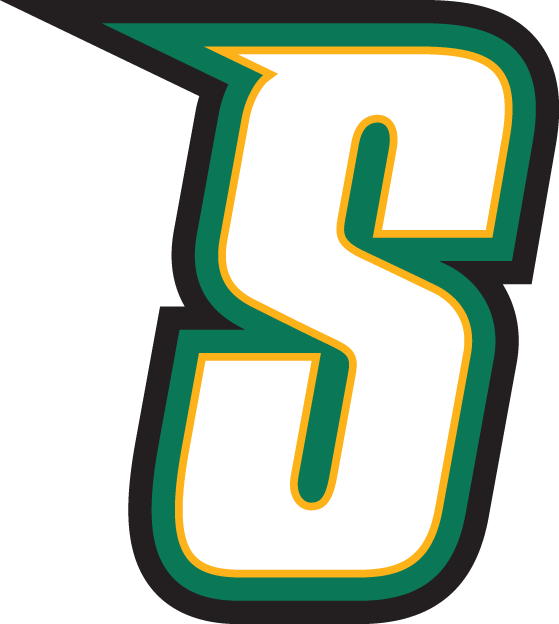 Siena Saints 2001-Pres Alternate Logo v3 DIY iron on transfer (heat transfer)